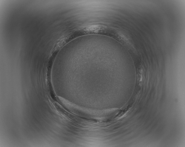 X0000056380504200508261204
