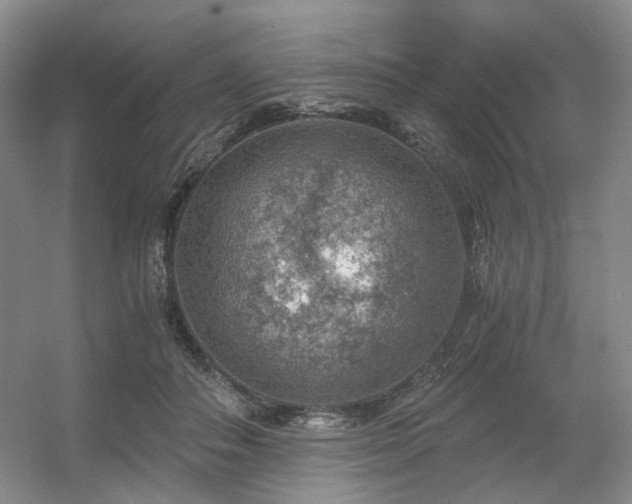 X0000056380506200508261204