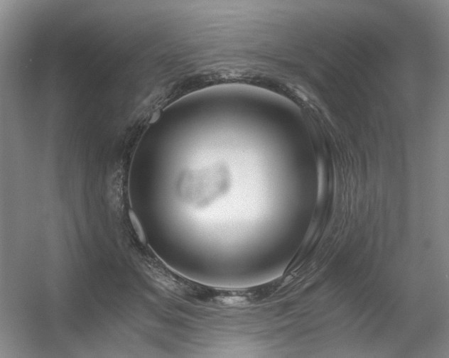 X0000056380509200508261204