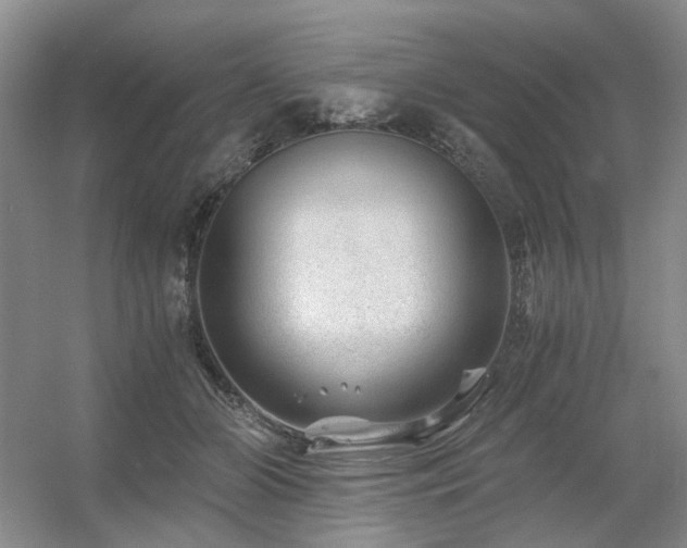 X0000056380510200508261204