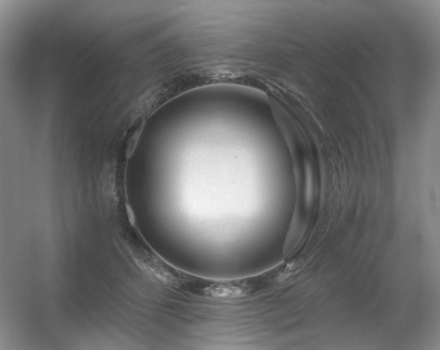 X0000056380512200508261204