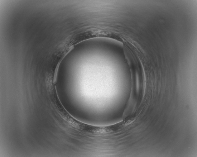X0000056380513200508261204