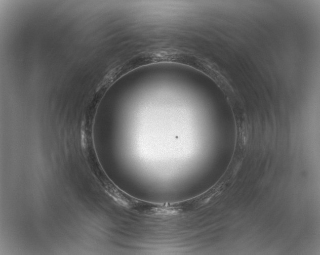 X0000056380520200508261203