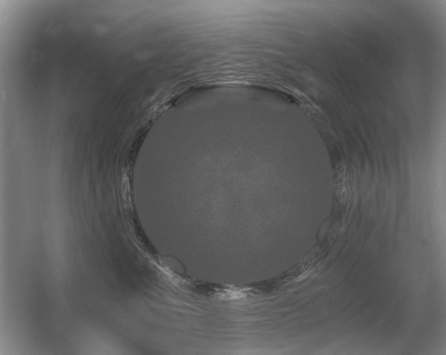 X0000056380523200508261203