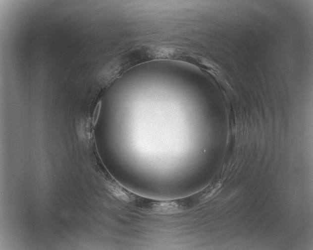 X0000056380525200508261203