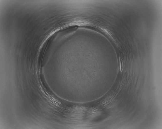 X0000056380531200508261202