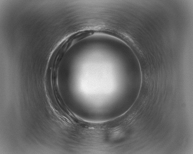 X0000056380532200508261202