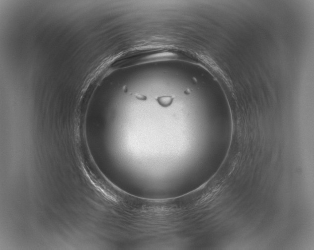 X0000056380533200508261203