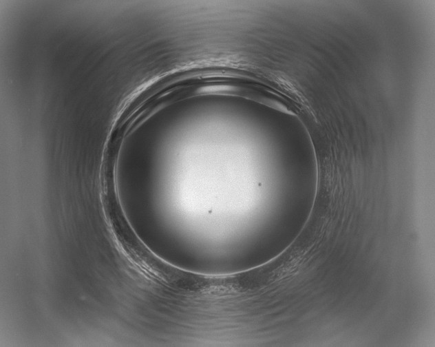 X0000056380536200508261203