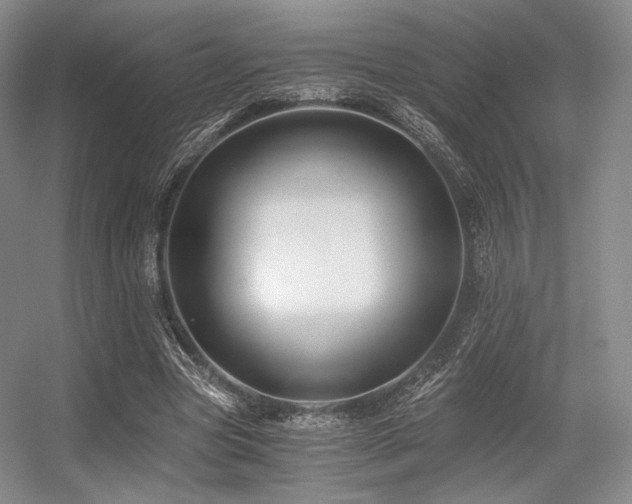 X0000056380537200508261203