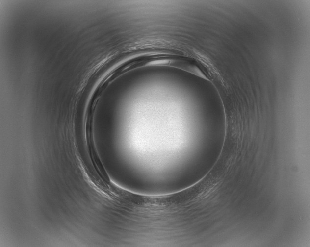 X0000056380538200508261203