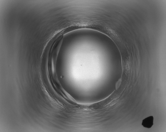 X0000056380540200508261203