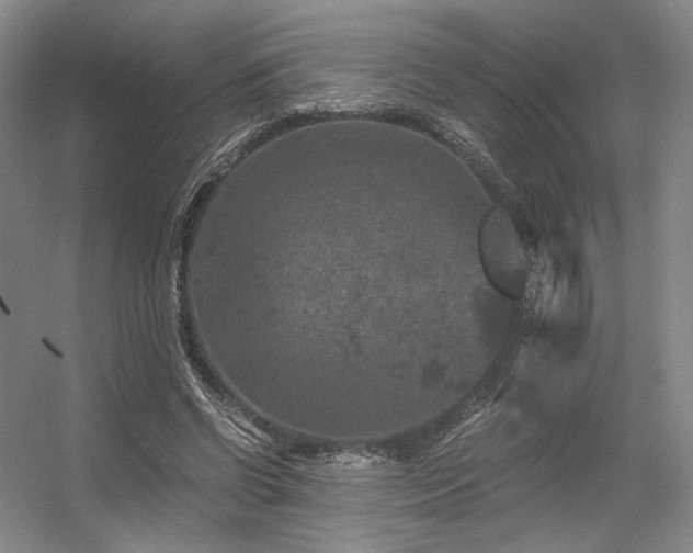 X0000056380542200508261203
