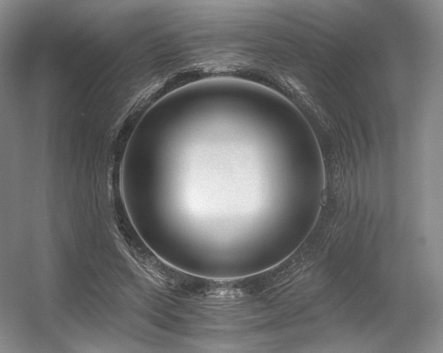 X0000056380543200508261203