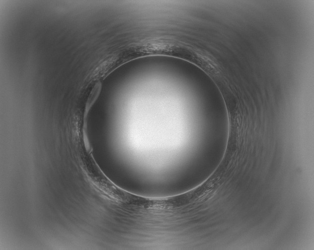 X0000056380546200508261203