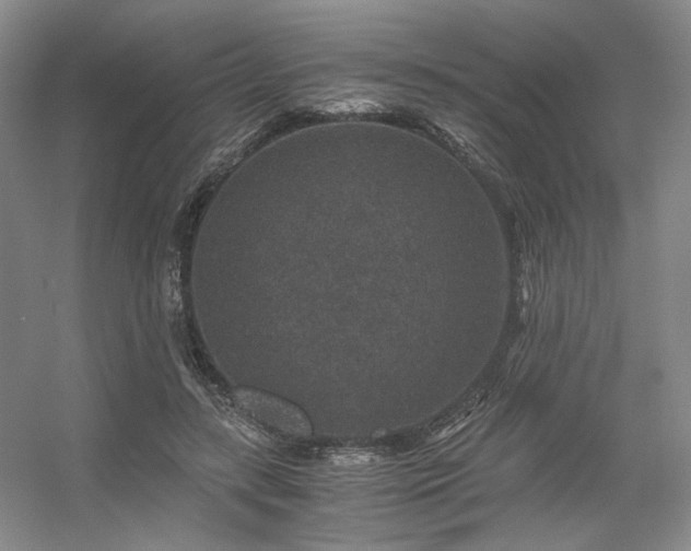 X0000056380547200508261203