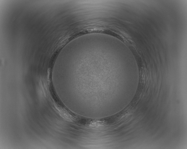 X0000056380550200508261203