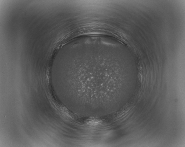 X0000056380551200508261203