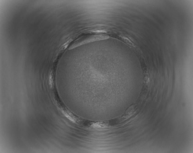 X0000056380568200508261203