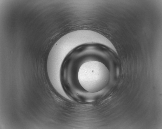 X0000056380570200508261203