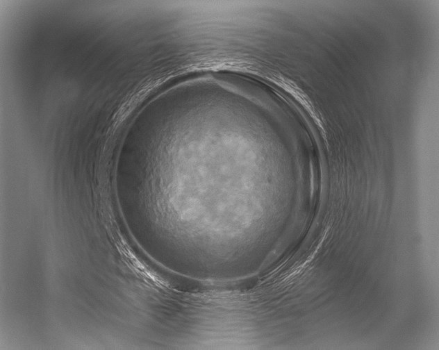 X0000056380577200508261202