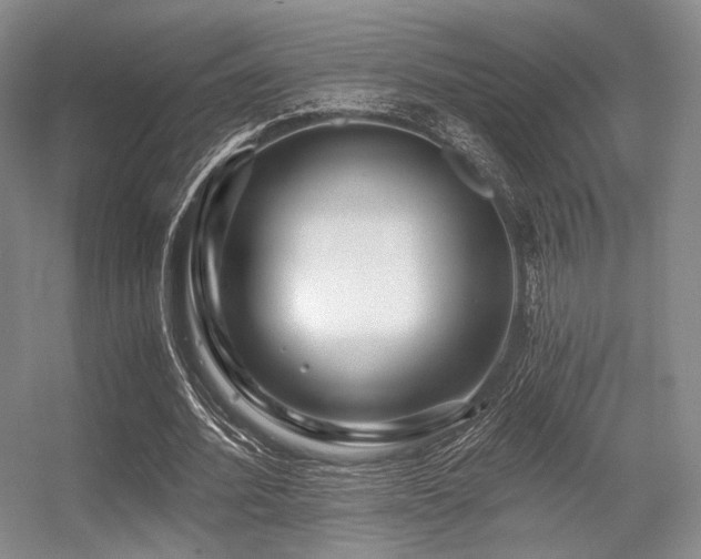 X0000056380580200508261202
