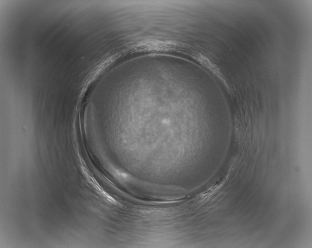 X0000056380581200508261202