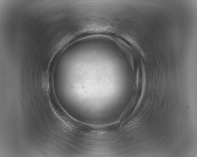 X0000056380582200508261202