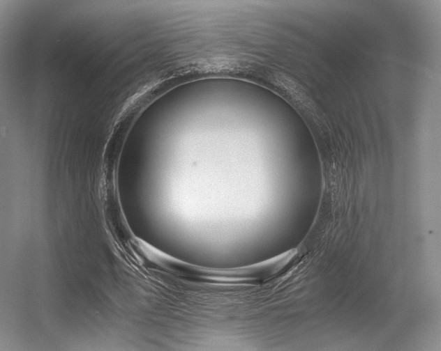X0000056380583200508261202