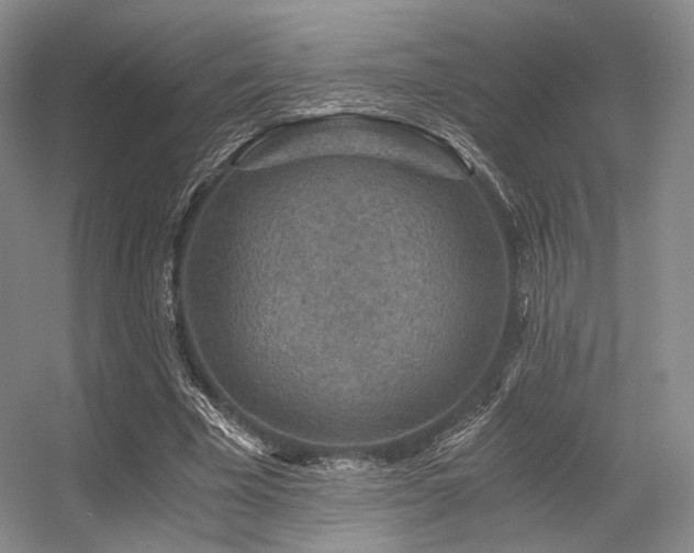 X0000056380585200508261202