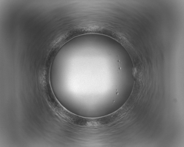 X0000056380591200508261202