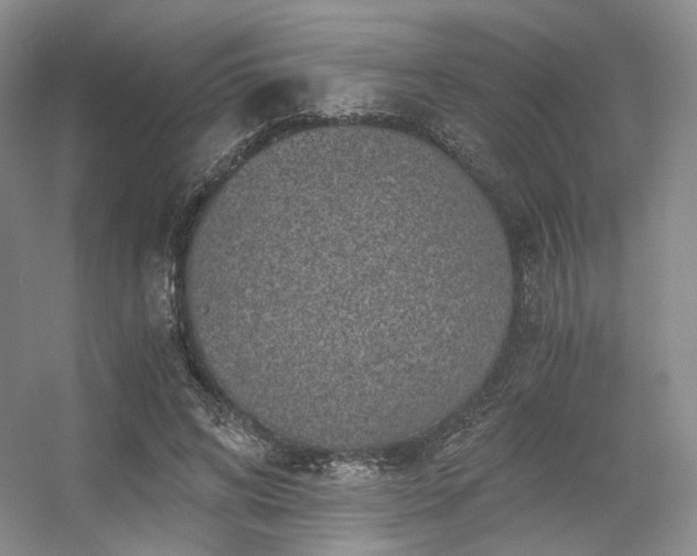 X0000056380592200508261202