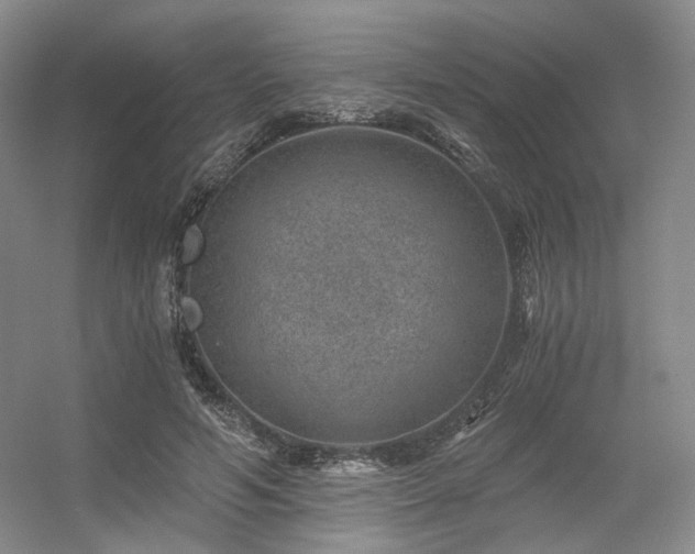 X0000056380594200508261202