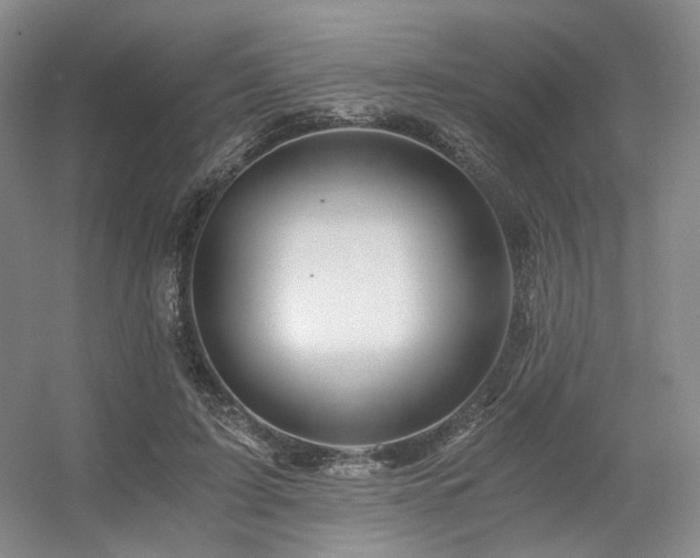 X0000056380595200508261202
