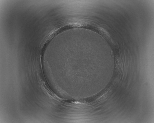 X0000056380596200508261202