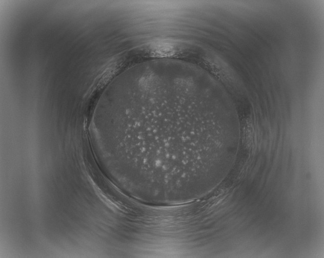 X0000056380598200508261202