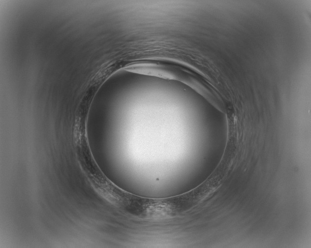 X0000056380599200508261202