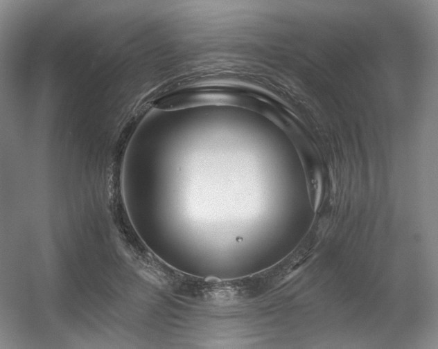 X0000056380600200508261202