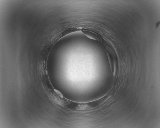 X0000056380605200508261202