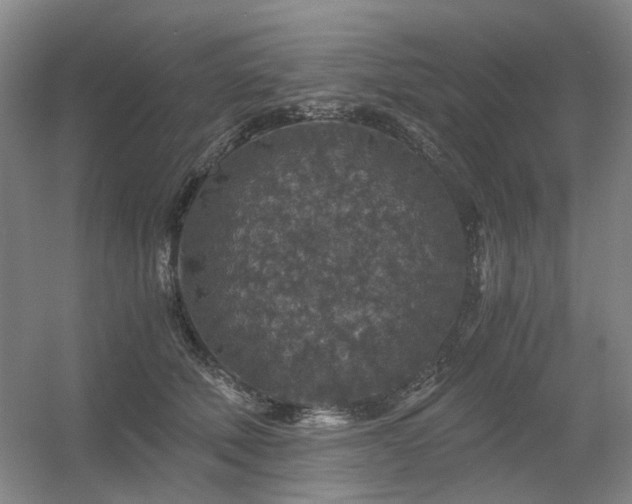 X0000056380610200508261202