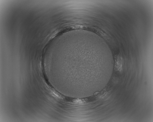 X0000056380616200508261202