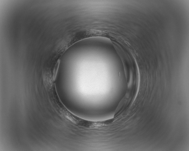 X0000056380617200508261202