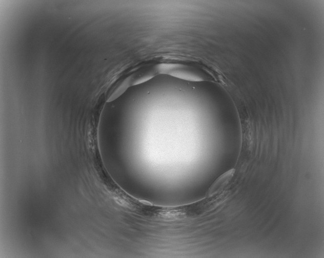 X0000056380619200508261202