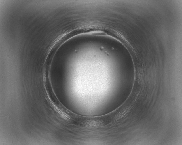 X0000056380629200508261201
