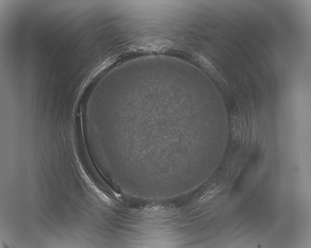 X0000056380634200508261201