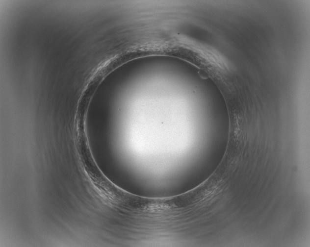 X0000056380636200508261201
