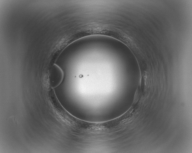 X0000056380642200508261201