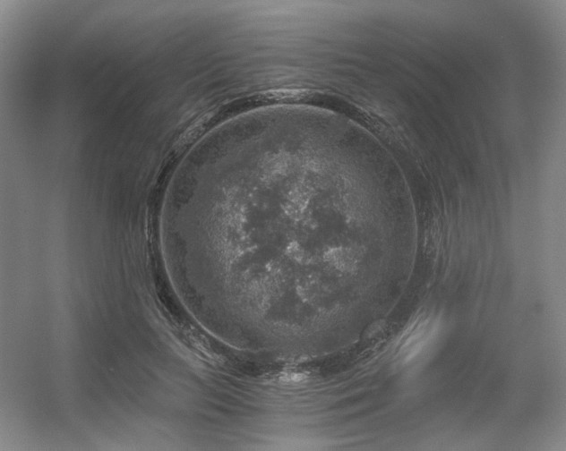 X0000056380647200508261201