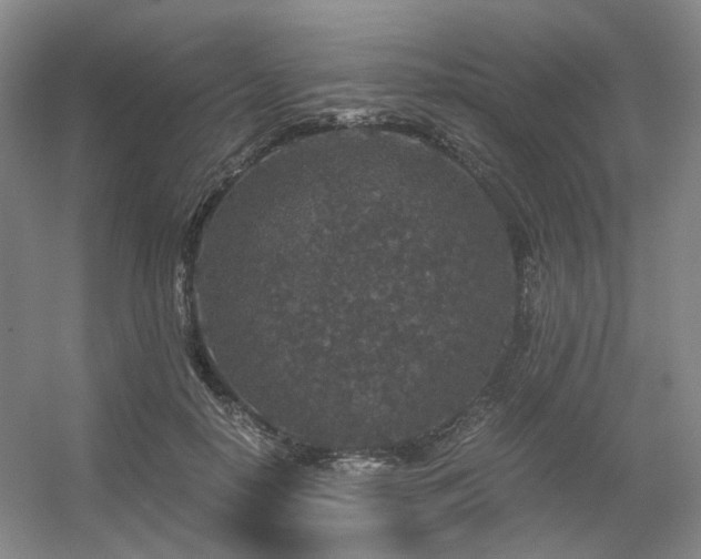 X0000056380650200508261201