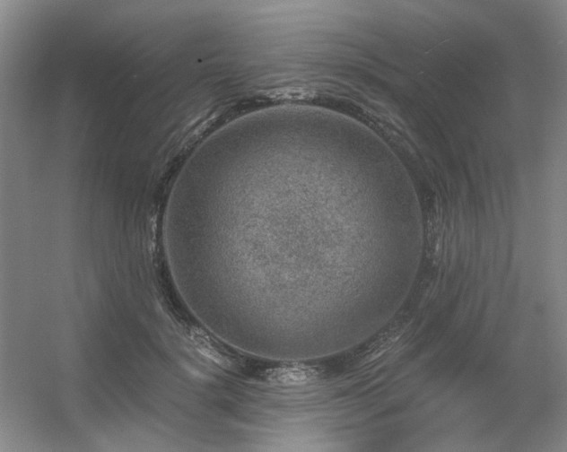 X0000056380652200508261201